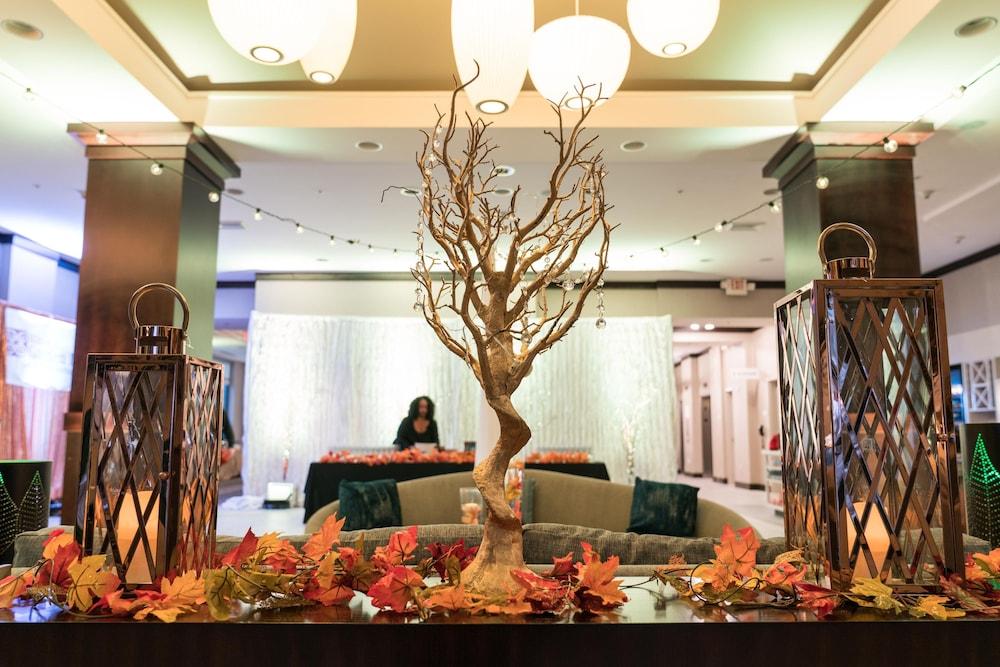 Hilton Garden Inn Shirlington Arlington Buitenkant foto